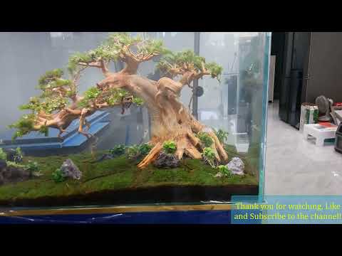 DIY Aquarium Sand Waterfall