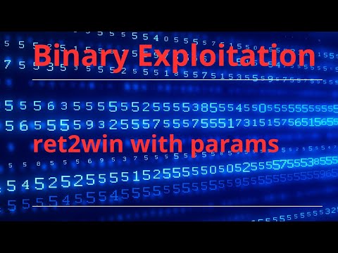 Binary Exploitation: exploit ret2win with params