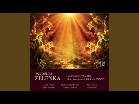 Missa sanctissimae trinitatis, ZWV 17: Gloria. Gloria in excelsis Deo