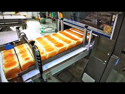 , title : 'سنأخذك في جولة مذهلة داخل مصانع الخبز - خط إنتاج الآلي  للخبز لا يصدق !'