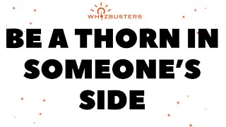 What does "A Thorn in Someone's Side" mean? (Idiom Explained) 🌵