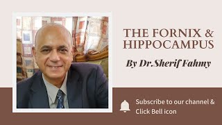 Dr. Sherif Fahmy - The Fornix & Hippocampus
