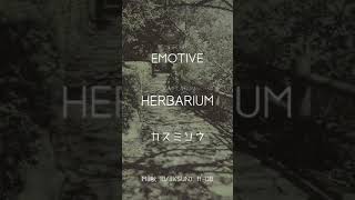 【Teaser MV】Bass Clarinet Ambient Music【2021 M3 Autumn Works】