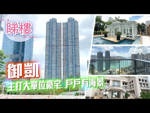 The Dynasty Youtube Video