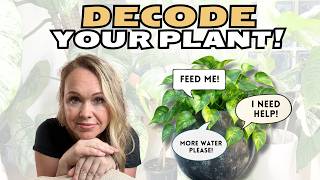Your Plants Are Begging for Help (Here's What They're Saying)