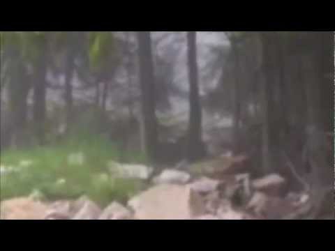 #53 of 72 Snowshoe Mountain Bigfoot  http-__www.facebook.com FindBigfoot