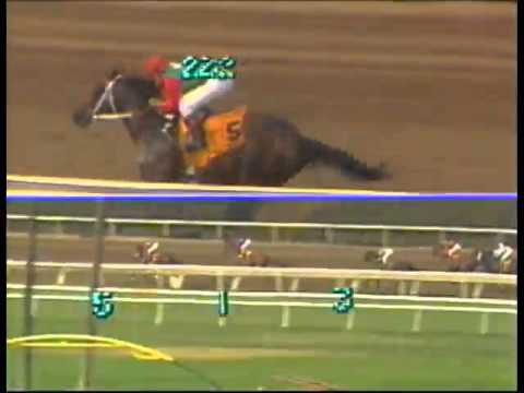 1986 Californian Stakes   PRECISIONIST