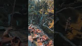 Download lagu #balidj #music #ubud #melodictechno  #melodichouse #techno #baliclub #bali #organichouse #asiandj mp3