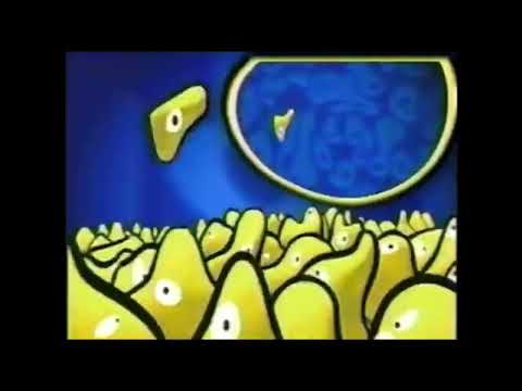 All CBBC and BBC Kids Ident Variations Comparison