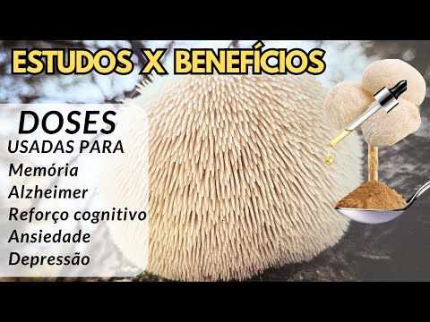 Cogumelo juba de leão : Benefícios, Uso e Dosagens [ Guia Completo ]
