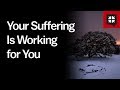 Your Suffering Is Working for You