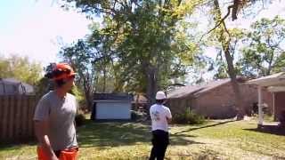 preview picture of video 'Precision Tree Felling, Green Briar Drive, Gulfport, MS'