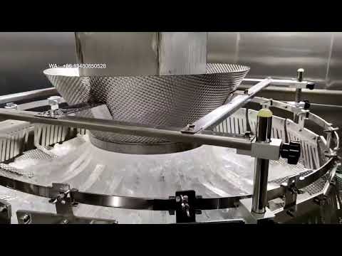 Continuous Motion High Speed Vertical Form Fill Seal VFFS Ice Cube Bagging Packing Machine