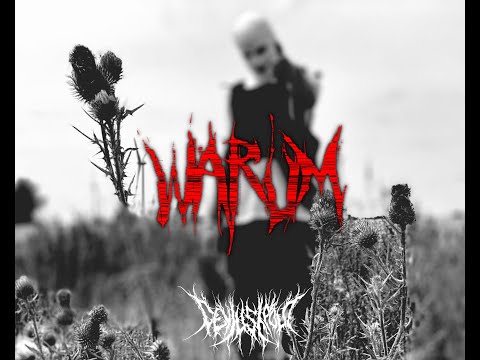 devilish polo - warum (prod. by devilish polo)