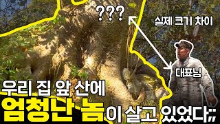 등산 갔다가 나무 앞에 멈춰 설 수밖에 없었습니다… (부안 우금산) [남산 위에 저 소나무 시리즈 1]