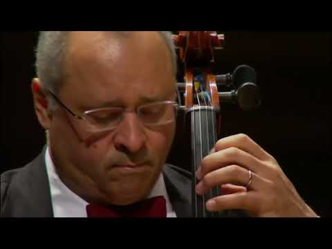 Antonio Meneses - Bach - Cello Suite No 1 in G major, BWV 1007