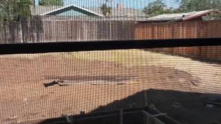 Стройка - это как на войне. Каждый день новые приключения.