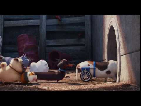 The Secret Life of Pets - What Is That Smell?