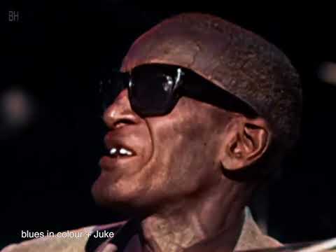 Sleepy John Estes & Yank Rachell - 'Mailman Blues' live [Colourised] 1966