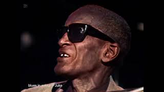 Sleepy John Estes &amp; Yank Rachell - &#39;Mailman Blues&#39; live [Colourised] 1966