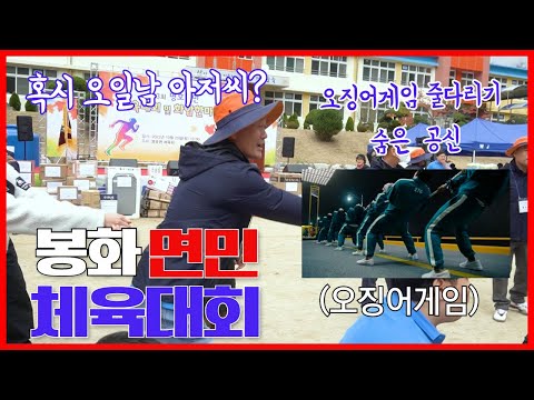 오징어게임 줄다리기의 숨은 공신,, 혹시 봉화명호에 오일남 아저씨가..? 정 넘치는 면민체육대회