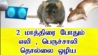 2 மாத்திரை போதும் எலி , பெருச்சாளி தொல்லை ஒழிய/Get rid of rats from Home remedy | How to Kill Rats
