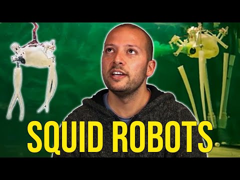 <p>Current underwater vehicles are rigid in structure which limits their suitability for many tasks required for ocean exploration. Francesco Giorgio-Serchi is working with a team at the University of Southampton to design new robots based on squids and octopuses that are made entirely from silicone. They are not only more mobile, but are also more reliable and more efficient.</p>
