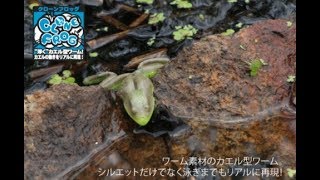 ジャッカルクローンフロッグ水中アクション映像JACKALLCloneFrog