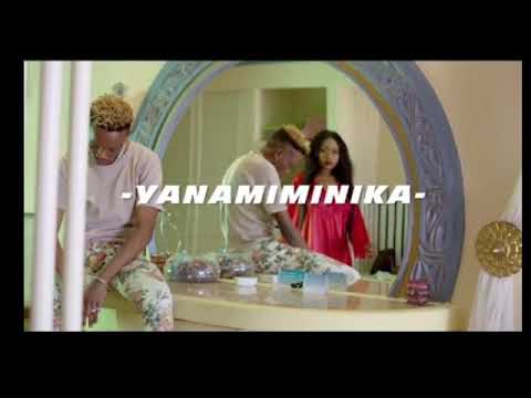 Amber Lulu ft Marioo  Yanamiminika (  offical music video )