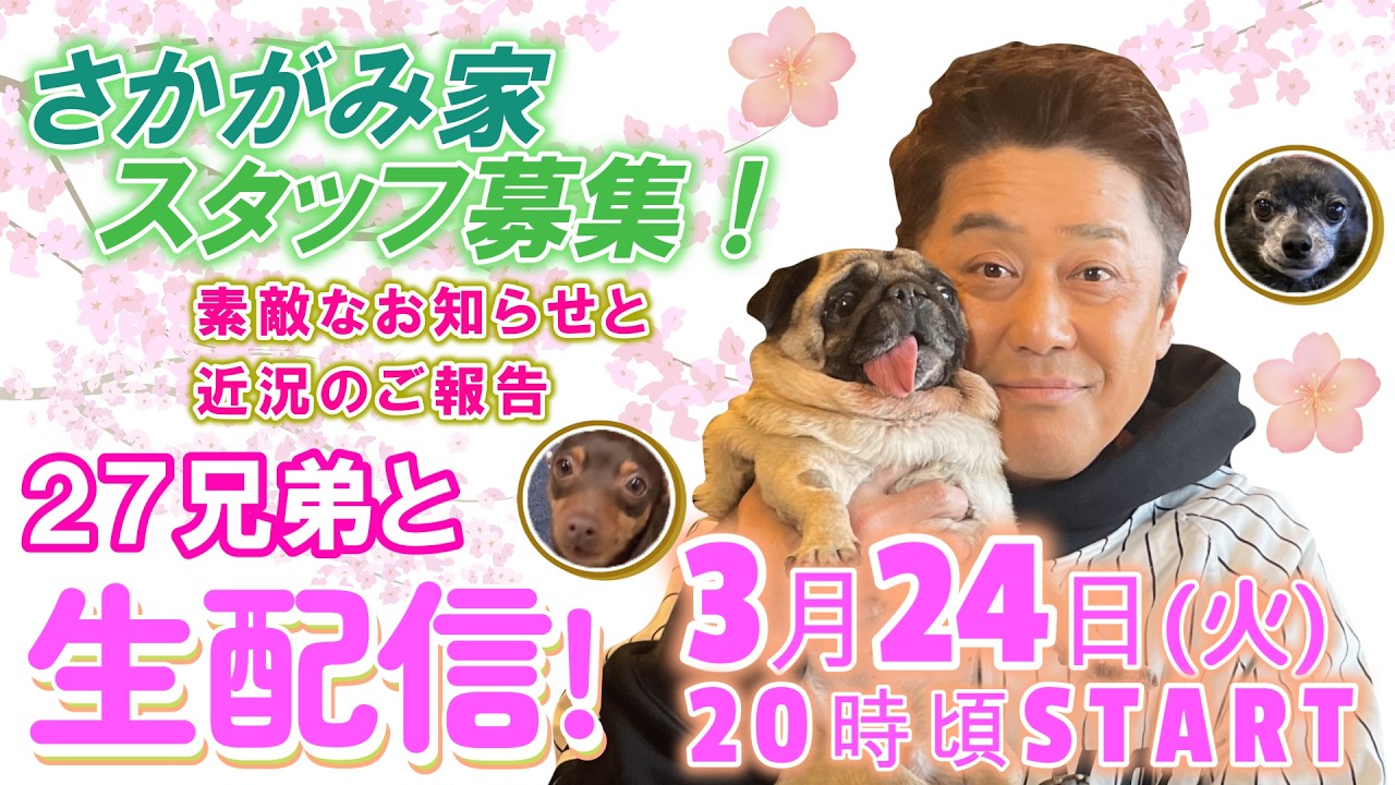 【生配信】さかがみ家スタッフ募集！！素敵なお知らせと近況のご報告！２７兄弟と生配信！