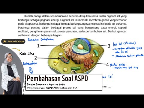 Sistem Koordinasi: Sel Saraf (Neuron), Otak, Sumsum Tulang Belakang & Refleks SMP