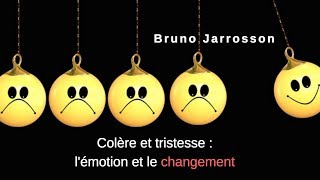 Colère et tristesse : l'émotion et le changement