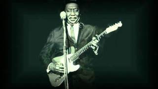 Muddy Waters - Born With Nothing