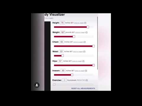Body Visualizer