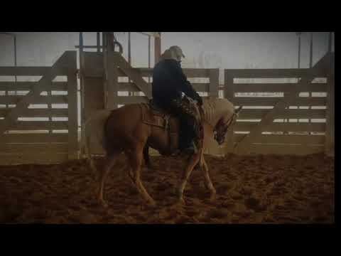 Lil Yellow Cadalliac - 2013 AQHA Mare