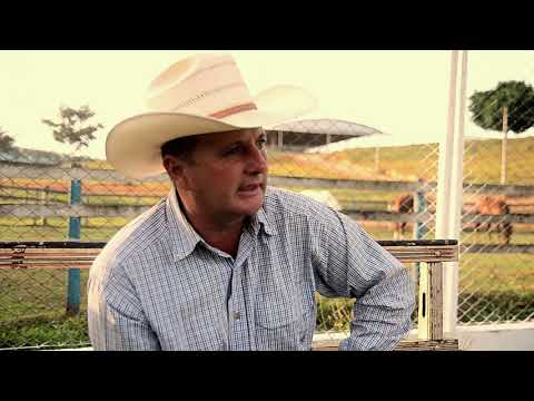 Meu Cavalo dos sonhos.