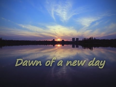 Anders Nilsen - Salsa Tequila (lyrics)