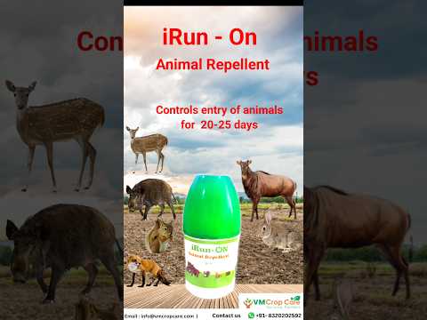 Animal Repellent iRunOn