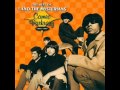 Question Mark and The Mysterians - Can't Get Enough Of You Baby