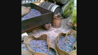 ronda turismo bodega museo vino