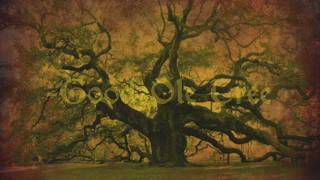 Eva Folk - Good Ole Tree