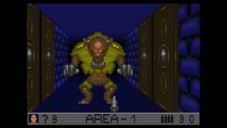 Castle Werewolf 3D: A dark, dull, cumbersome FPS