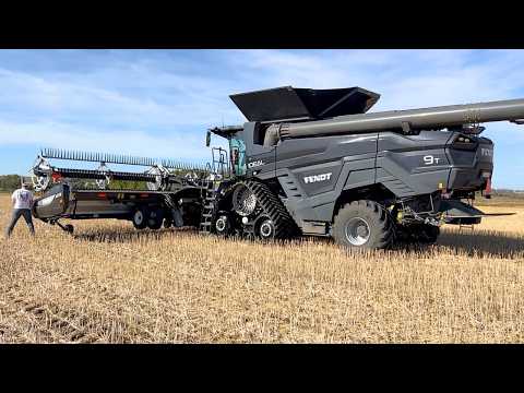 Fendt Ideal 9T Combine Harvesting Canola