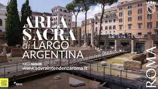 La Curia di Pompeo nell'Area Sacra di largo Argentina