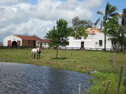 Video de YouTube - Chacra en Cerro Largo Ref. 1736