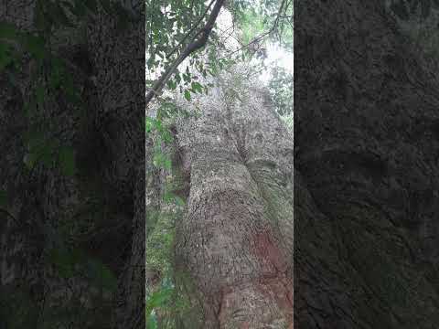 EBILUNJI KABAKA BULAMU BYALETA