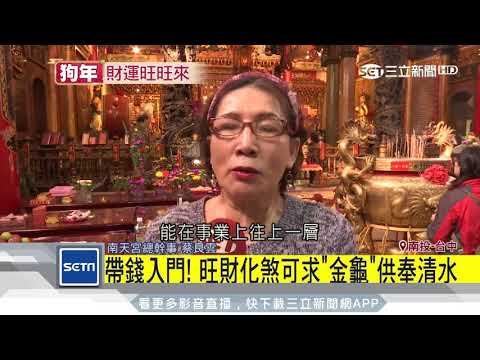 金龜擺放