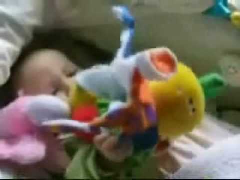 KLAPA ŠIBENIK - SPAVAJ SLATKO