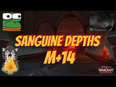 Sanguine Depths M+14, discipline priest PoV.