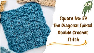 Crochet Square No: 39, How to Crochet the Diagonal Spike Double Crochet Stitch, 2025 Sampler Blanket